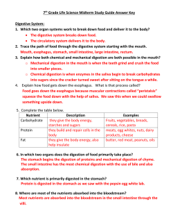 7 th Grade Life Science Midterm Study Guide Answer Key Digestive