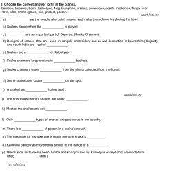 I. Choose the correct answer to fill in the blanks - E