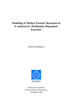 Modeling of Methyl Transfer Reactions in S-Adenosyl-L