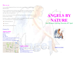 Angels by Nature