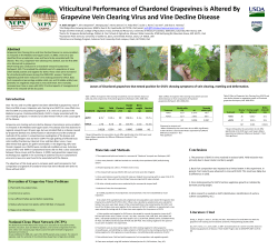 Introduction Abstract Materials and Methods Conclusions National