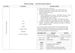 National 5 Biology - Unit 2 Multi-cellular Organisms Key Area Key
