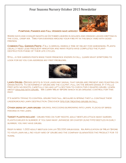 Four Seasons Nursery October 2015 Newsletter