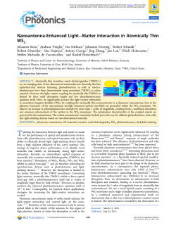 Nanoantenna-Enhanced Light&ndash;Matter Interaction