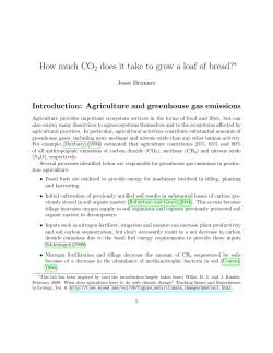 How much CO2 does it take to grow a loaf of bread?