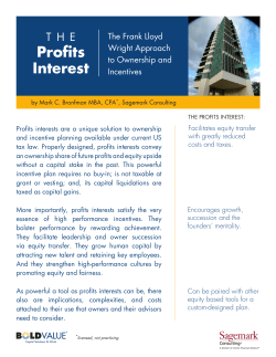 Profits Interest