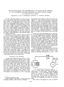 PHOTOSYNTHESIS AND RESPIRATION IN DEVELOPINGFRUITS I