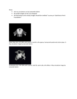 Notes: All X-ray simulations are by Leonardo Salvini All model