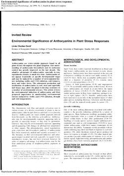 Environmental significance of anthocyanins in plant stress responses