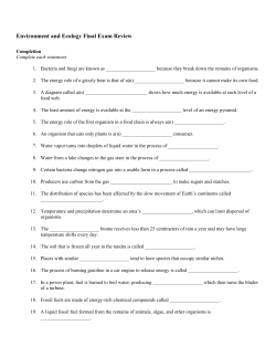 final exam review packet - mrskirman