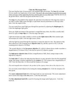 Color the Microscope Parts