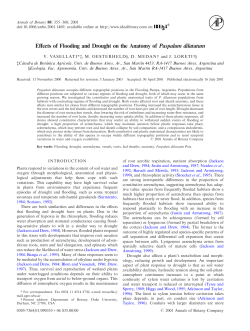 Effects of Flooding and Drought on the Anatomy of Paspalum dilatatum