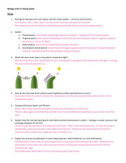 Biology Unit 4.1 Study Guide Plants: Distinguish between the root