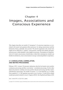 Images, Associations and Conscious Experience