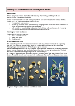 9. Looking at Chromosomes and mitosis