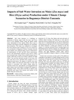 Impacts of Salt Water Intrusion on Maize (Zea mays) and Rice