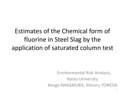 Estimates of the chemical form of fluorine in steel slag by the