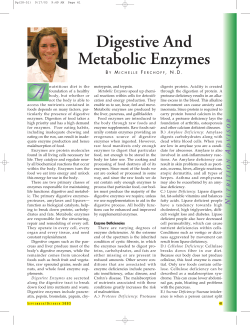 Digestive And Metabolic Enzymes - Chiropractic Products Magazine