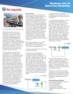 Membrane Units for Natural Gas Dehydration