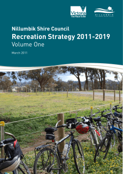 Recreation Strategy 2011-2019