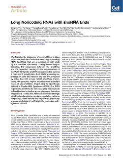Long Noncoding RNAs with snoRNA Ends