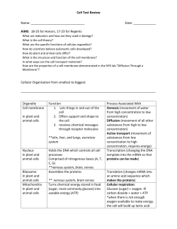 Review Packet 2: Cells - Manhasset Public Schools