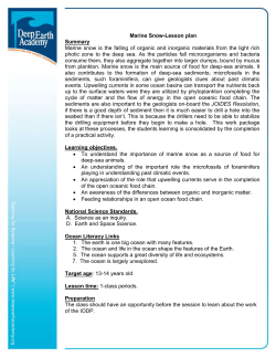 marine snow-lesson plan