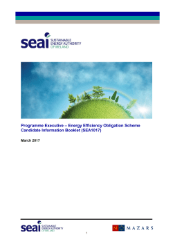 Programme Executive &ndash; Energy Efficiency Obligation Scheme