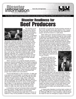 Beef Producers