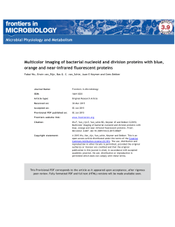 Multicolor imaging of bacterial nucleoid and