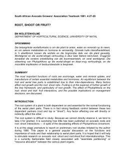 Root, shoot or fruit?