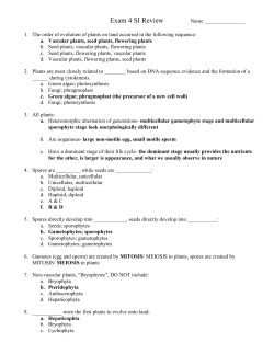 exam 4 practice question answers