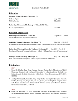 Yuli Wei - USF Physics - University of South Florida