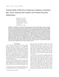 Feeding Habits of Red Drum