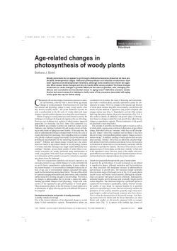 Age-related changes in photosynthesis of woody plants