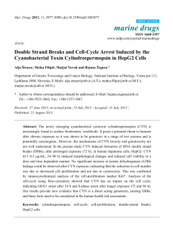 Double Strand Breaks and Cell-Cycle Arrest Induced by the