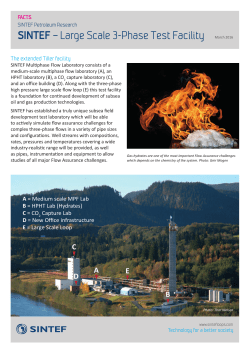Large Scale 3-Phase Test Facility