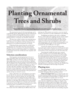MF402 Planting Ornamental Trees and Shrubs