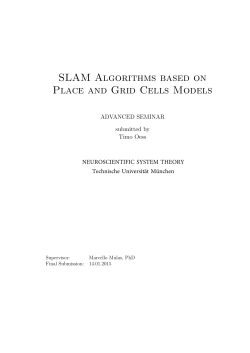 SLAM Algorithms based on Place and Grid Cells Models