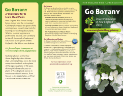 Discover thousands of New England plants A Whole New Way to