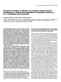 Biochemical Studies of Stimulus Convergence during Classical