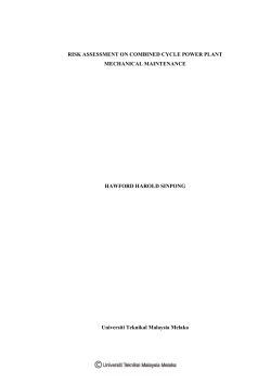RISK ASSESSMENT ON COMBINED CYCLE POWER PLANT
