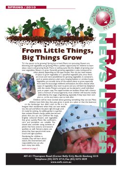 From Little Things, Big Things Grow