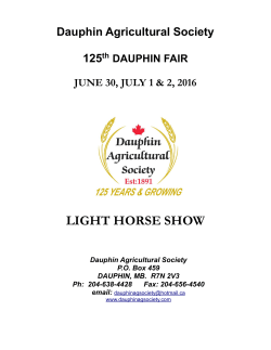 light horse show - Dauphin Ag Society Fair
