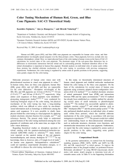 Color Tuning Mechanism of Human Red, Green, and Blue Cone