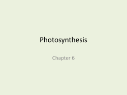 Photosynthesis