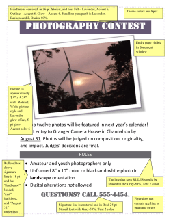 photography contest