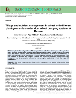 Tillage and nutrient management in wheat with different plant