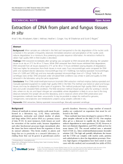 Extraction of DNA from plant and fungus tissues in situ | SpringerLink