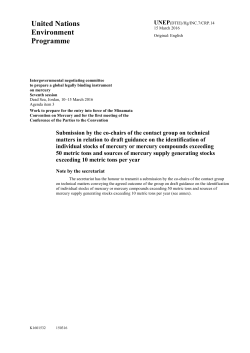 Guidance for Identifying Large Mercury Supply/Stored